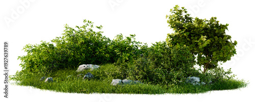 Panel kuchenny z motywem Lush Green Grass And Bushes With Scattered Rocks