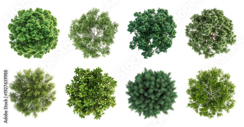 PNG Top view diverse tree collection on transparent background