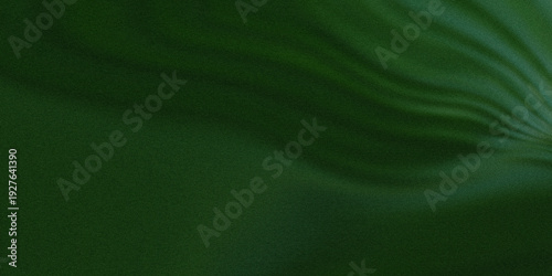 Tableau sur toile Dark emerald green background with a heavy film grain texture featuring soft org