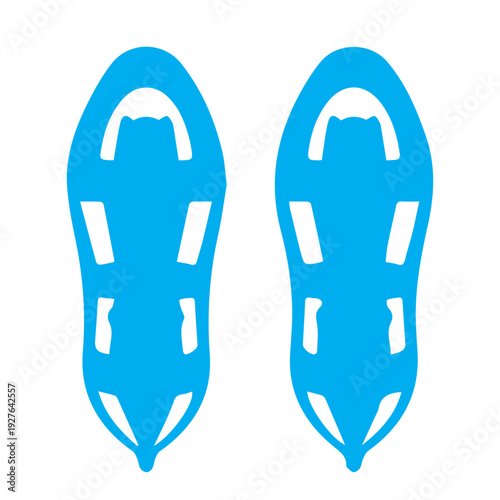 Blue Snowshoe Icon