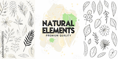 Botanical illustration with sketched leaves flowers and the word natural