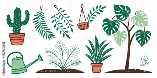 A vibrant array of indoor plants and gardening tools arranged neatly on a white background. Vector