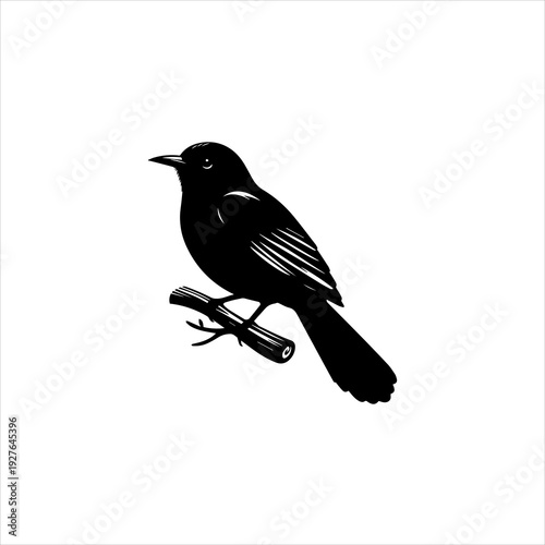 Furnarius rufus bird silhouette displayed as a clean black vector emblem design. Wildlife icon concept