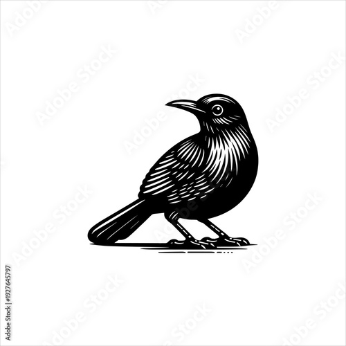 Furnarius rufus bird silhouette displayed as a clean black vector emblem design. Wildlife icon concept