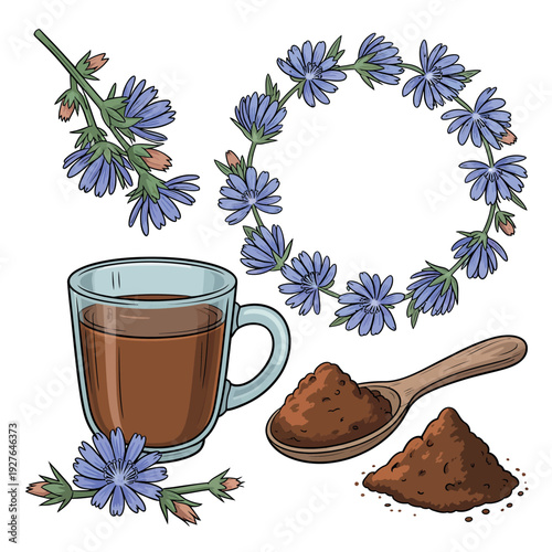 Chicory coffee alternative with flowers and powder illustration