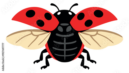 Cartoon illustration of a ladybug depicting open wings for nature and garden themes