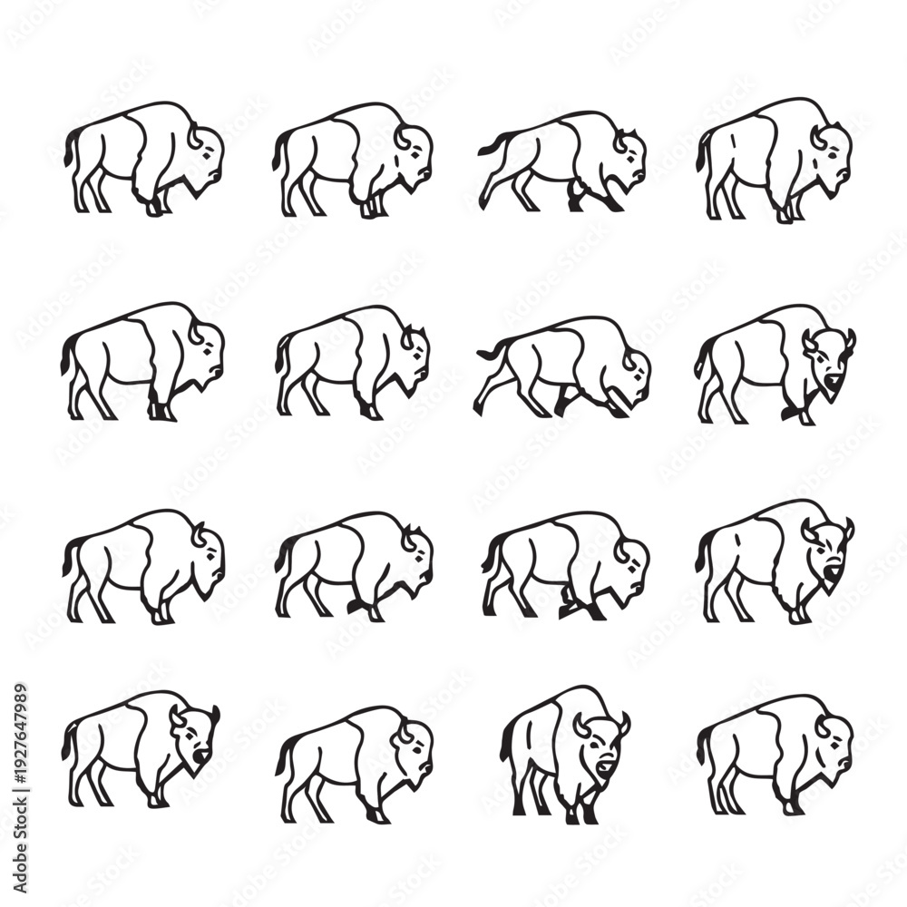 Fototapeta premium Bison Icon Set Various Poses Black and White Line Art