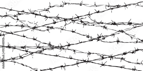 Black and white of tangled barbed wire fence security