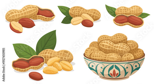 Assortment of peanuts shown in whole shells, partially opened, and as individual kernels both with and without skin.