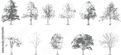 Ten grey stylized trees with varied foliage and branches