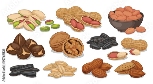 Large assortment of various nuts and seeds includes pistachios, walnuts, almonds, peanuts, and sunflower seeds.