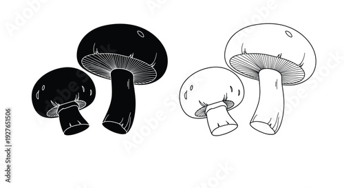 Comparison of two mushrooms is shown through a solid black silhouette on the left and a detailed line drawing on right.
