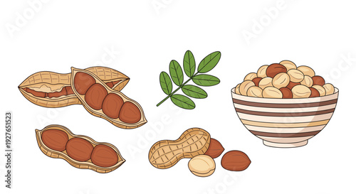 Bowl full of shelled peanuts is presented next to whole peanut shells and green leaves on a white background.