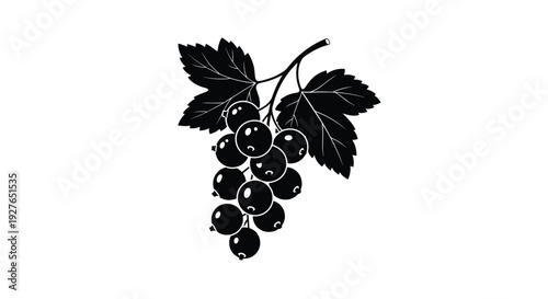 Stylized black silhouette of a cluster of ripe blackcurrants is shown attached to a stem with large jagged leaves.