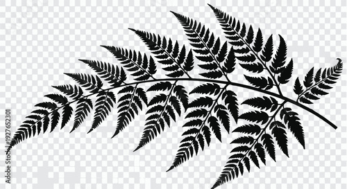 Fern leaf silhouette detailed with natural organic textures isolated on a white background to serve as a versatile botanical element for eco friendly branding and sustainable design projects.