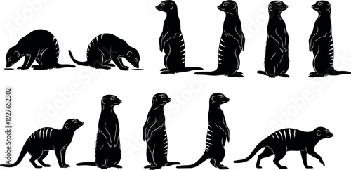 Black Meerkat Silhouette Vector Set Featuring Suricates Standing Guard, Foraging, and Walking in Various Poses Isolated on White Background