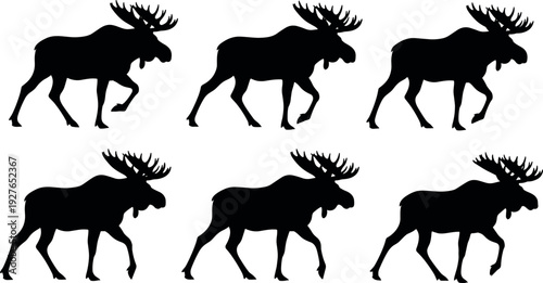 Black Moose Silhouette Set with Bull Elk Antlers in Various Walking Poses Isolated on White Background for Wildlife Nature Vector Design