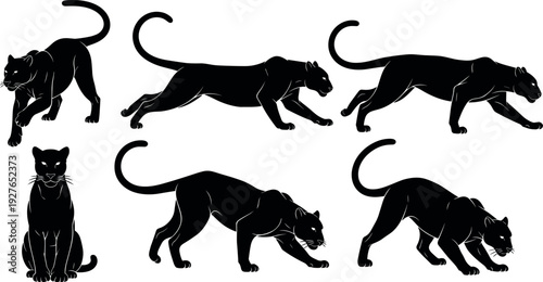 Black Panther Silhouette Set with Elegant Prowling Crouching and Sitting Poses for Jungle Wildlife Graphics Minimalist Big Cat Vector Illustrations