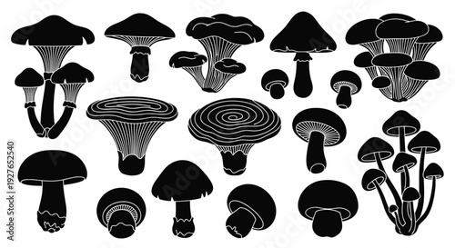 Wide variety of mushroom silhouettes in different shapes and sizes are arranged in a large collection for graphic design.