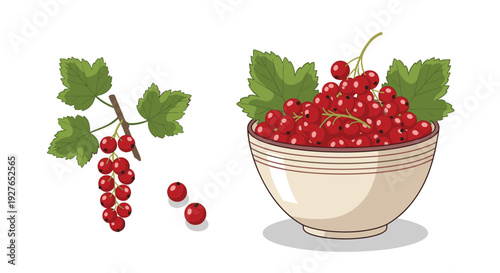 Beautiful illustration of fresh red currants features a bowl overflowing with berries and a separate branch with green leaves.