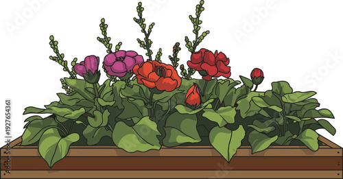 Vibrant colorful flowers in wooden rectangular planter box, pink purple red blooms green foliage illustration, spring garden decoration vector artwork.