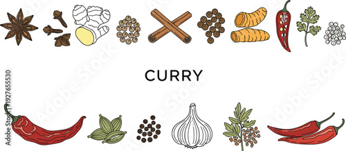 Curry spices and herbs collection with chili, garlic, ginger, cinnamon, and star anise, aromatic cooking ingredients, cad drawing flat vector illustration.
