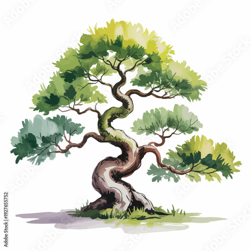 Artistic watercolor illustration of a twisted bonsai tree with lush green foliage