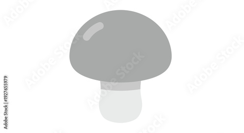 Mushroom Image, Vector Illustration, Flat Design, Food and Nature Concept