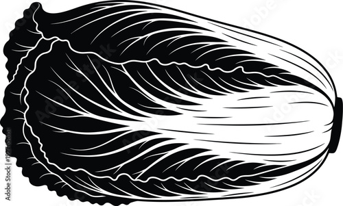 A detailed black and white illustration of a napa cabbage showcasing intricate leaf patterns on transparent background silhouette high quality professional