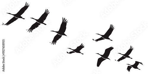 A flock of birds flying in a v-formation against a white background Vector