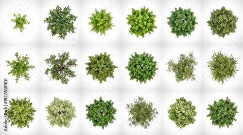 Aerial views of diverse tree canopies showcasing lush green foliage and textures