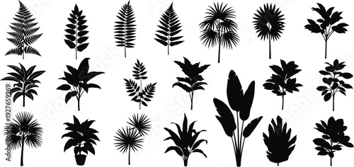 Collection of various plant silhouettes on white background
