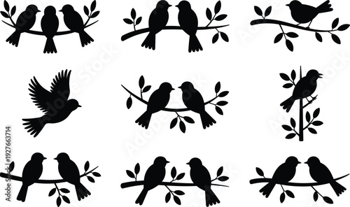 PrintBird silhouettes perched on branches, flying and sitting poses, wildlife illustration resource, nature design reference, 