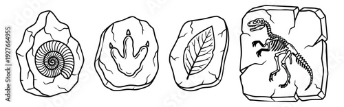 Hand drawn line art fossil set featuring an ammonite, a dinosaur footprint, a leaf, and a dinosaur skeleton for educational and historical content