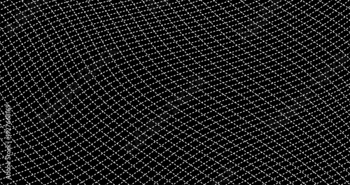 Dash Wireframe Monochrome texture in black and white tones