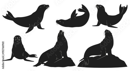 Seal Silhouettes Collection: Various Poses and Actions