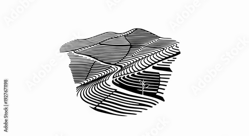 Stylized landscape with contour lines forming hills and a solitary tree