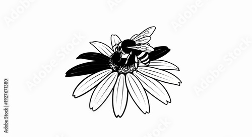 A black and white drawing of a bee collecting nectar from a flower (1)