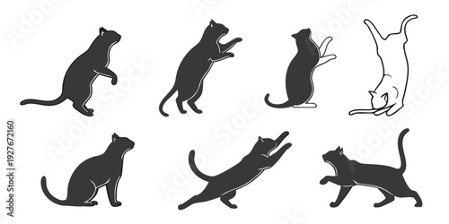 A variety of cats in different poses and actions Vector