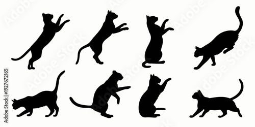 A collection of eight black silhouettes of cats in various playful poses Vector