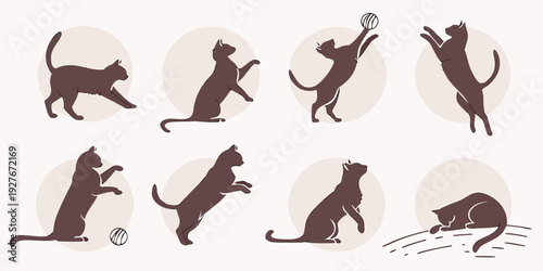 A sequence of illustrations depicting the life cycle of a mouse from birth to adulthood. Vector