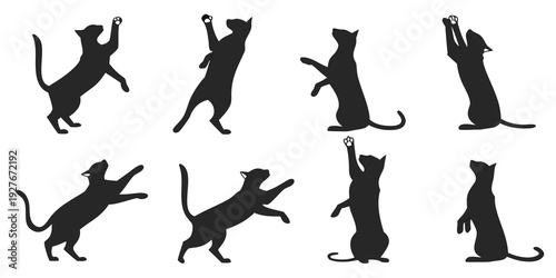 Eight black silhouettes of cats in various playful and dynamic poses. Vector