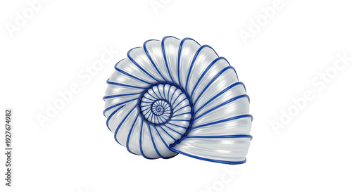 Nautilus Shell Spiral