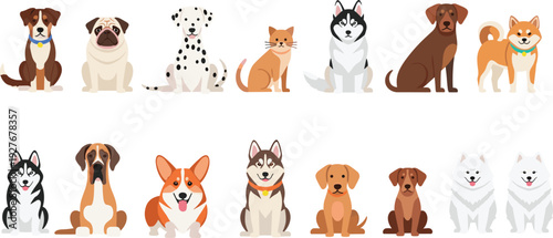 Cute Domestic Dog Breeds Collection with Husky Corgi Dalmatian Pug and Other Puppy Characters Vector Illustration Set