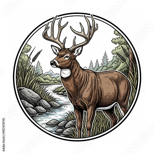Hand drawn whitetail deer buck in nature forest river landscape round emblem vintage vector style