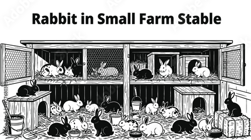 Rabbits in a farm hutch representing small black and white animal farming breeding and rural life
