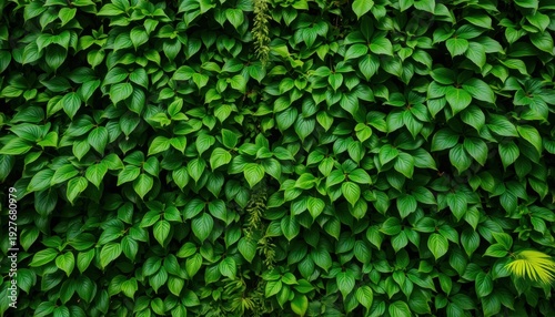Wallpaper Mural A wall covered in green leaves Torontodigital.ca