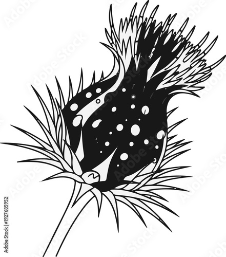 Stylized black and white illustration of a spiky seed head with dark center