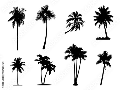 Collection of black palm tree silhouettes against white background palm trees tropical