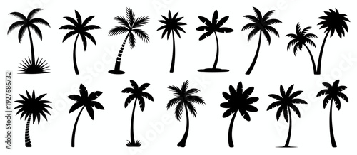 Collection of black palm tree silhouettes on white background tropical